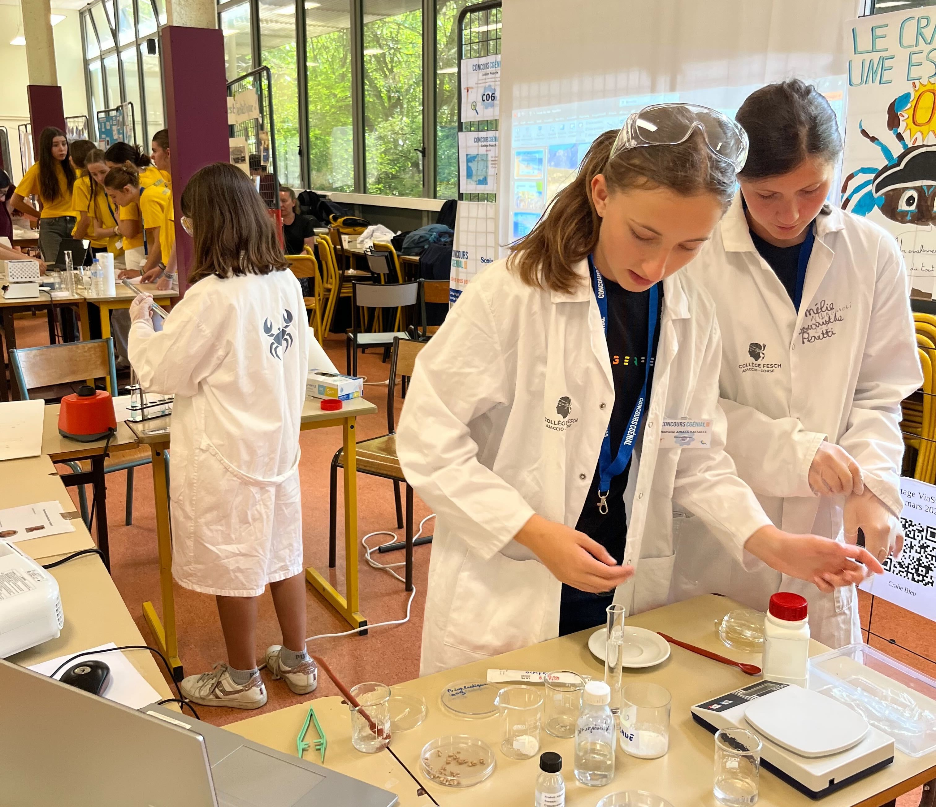 Elèves en blouse blanche de laboratoire du Collège Fesch de Corse réalisant des expériences scientifiques sur le crabe bleu avec des béchers et une balance pour le Concours CGénial